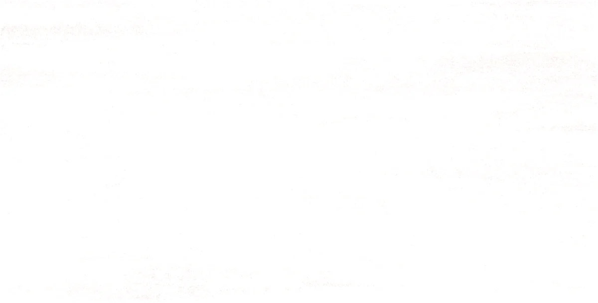 30x60, Cementine, Fon, Beyaz